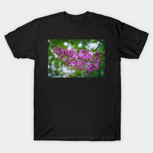 Purple Lilac T-Shirt